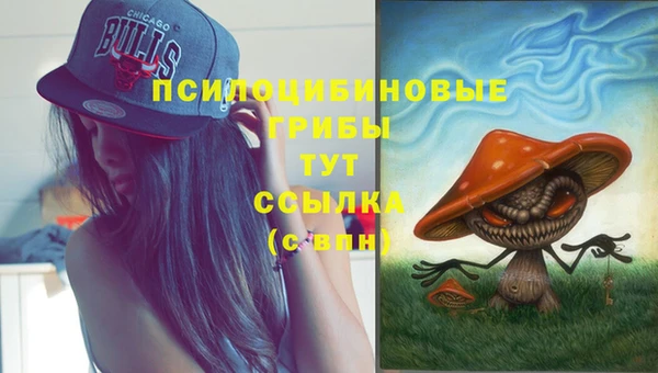 спайс Верея